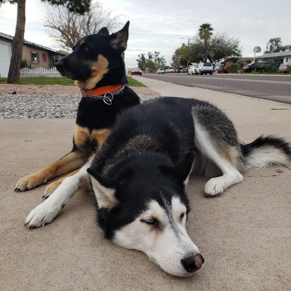 New Staff Member Brett