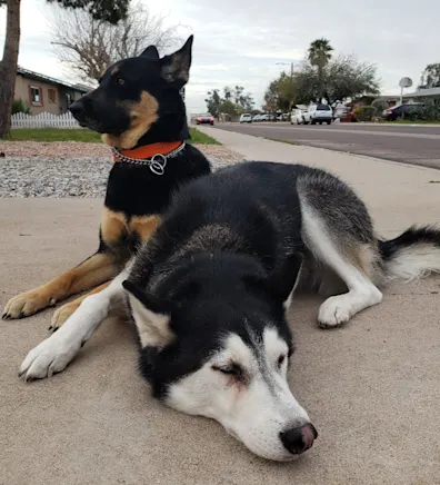 New Staff Member Brett New Staff Member Brett