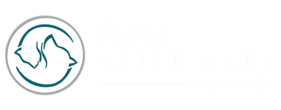 Bowen Veterinary Services Logo Bowen Veterinary Services Logo