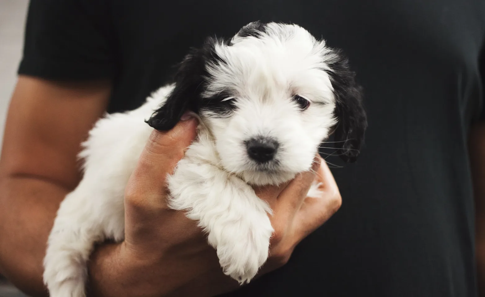 Man holding a puppy