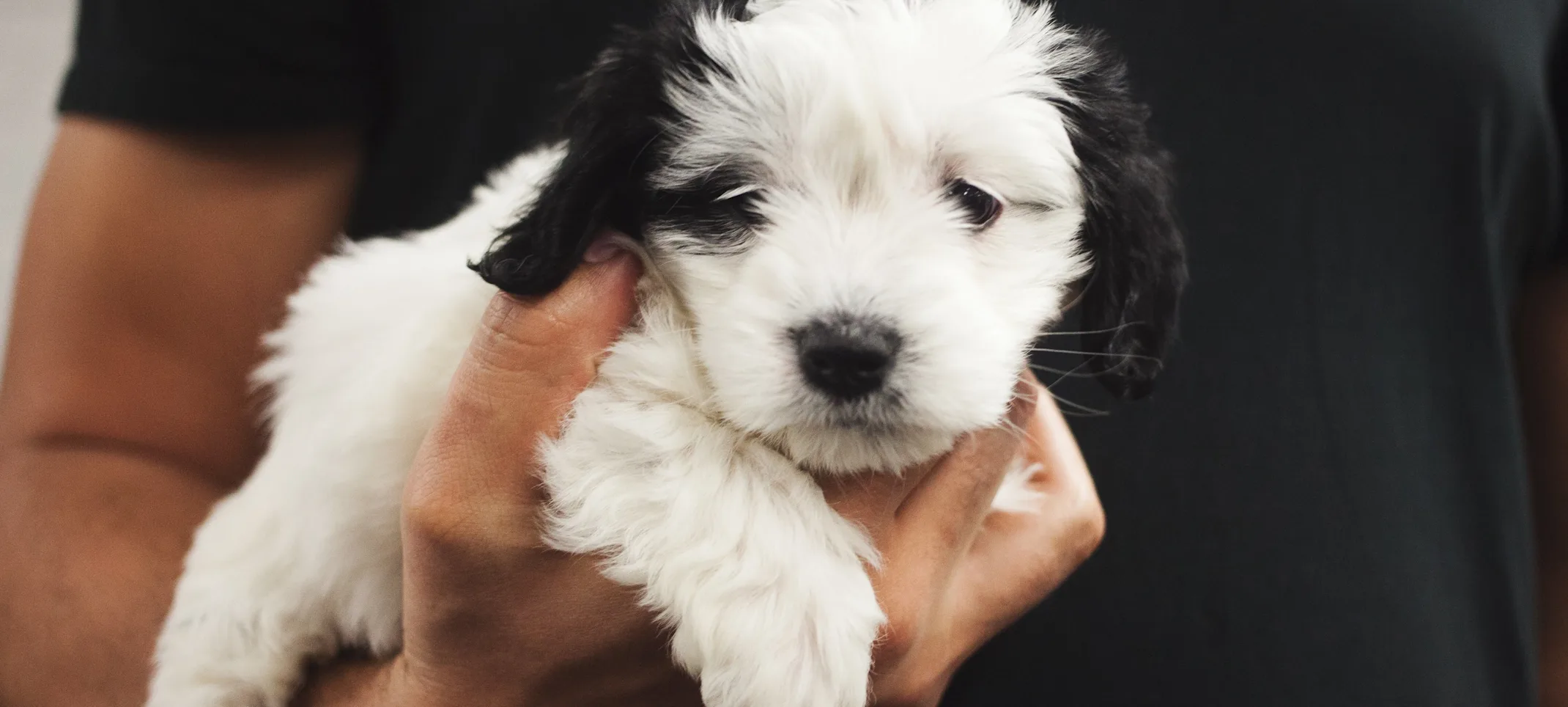 Man holding a puppy