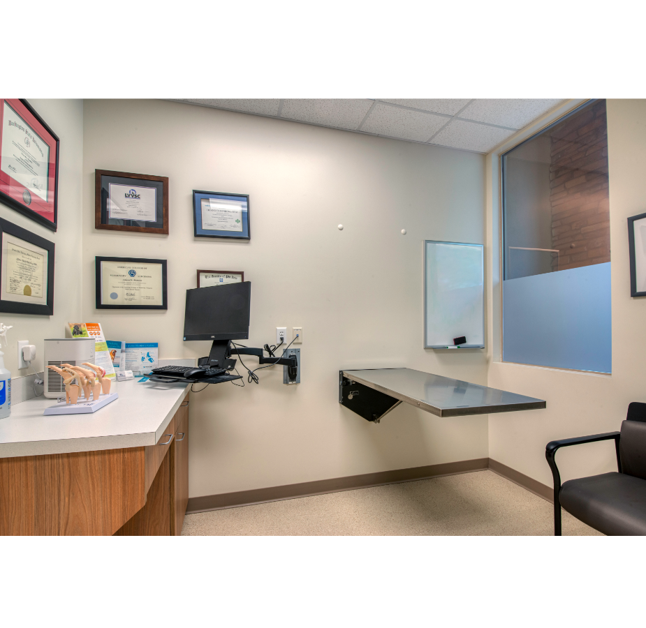 Surgical Consult Examination Room at VetMed Emergency & Specialty Veterinary Hospital