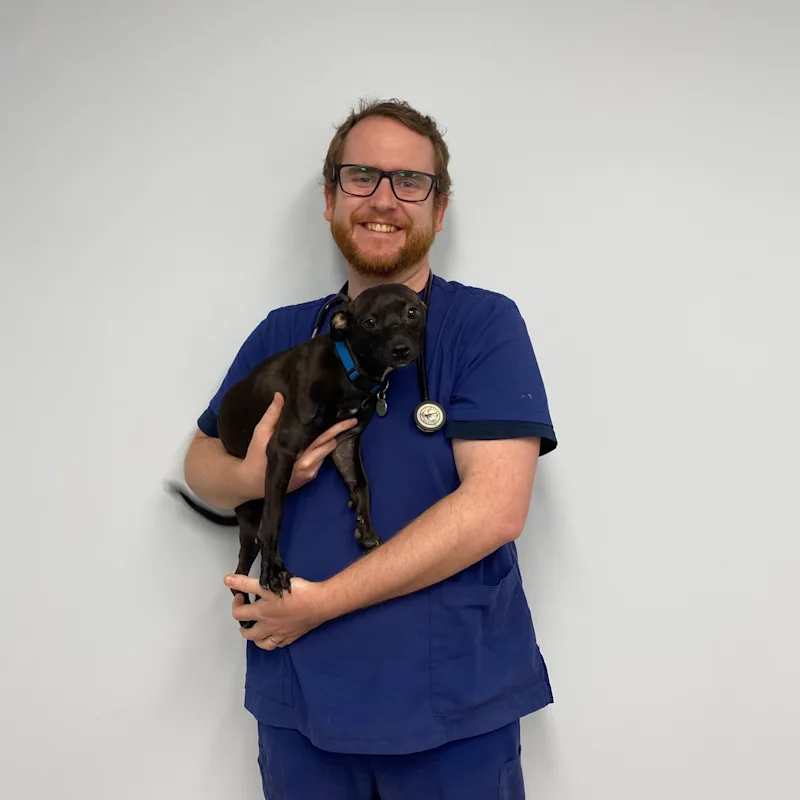 Dr. Ben Dixon Dr. Ben Dixon