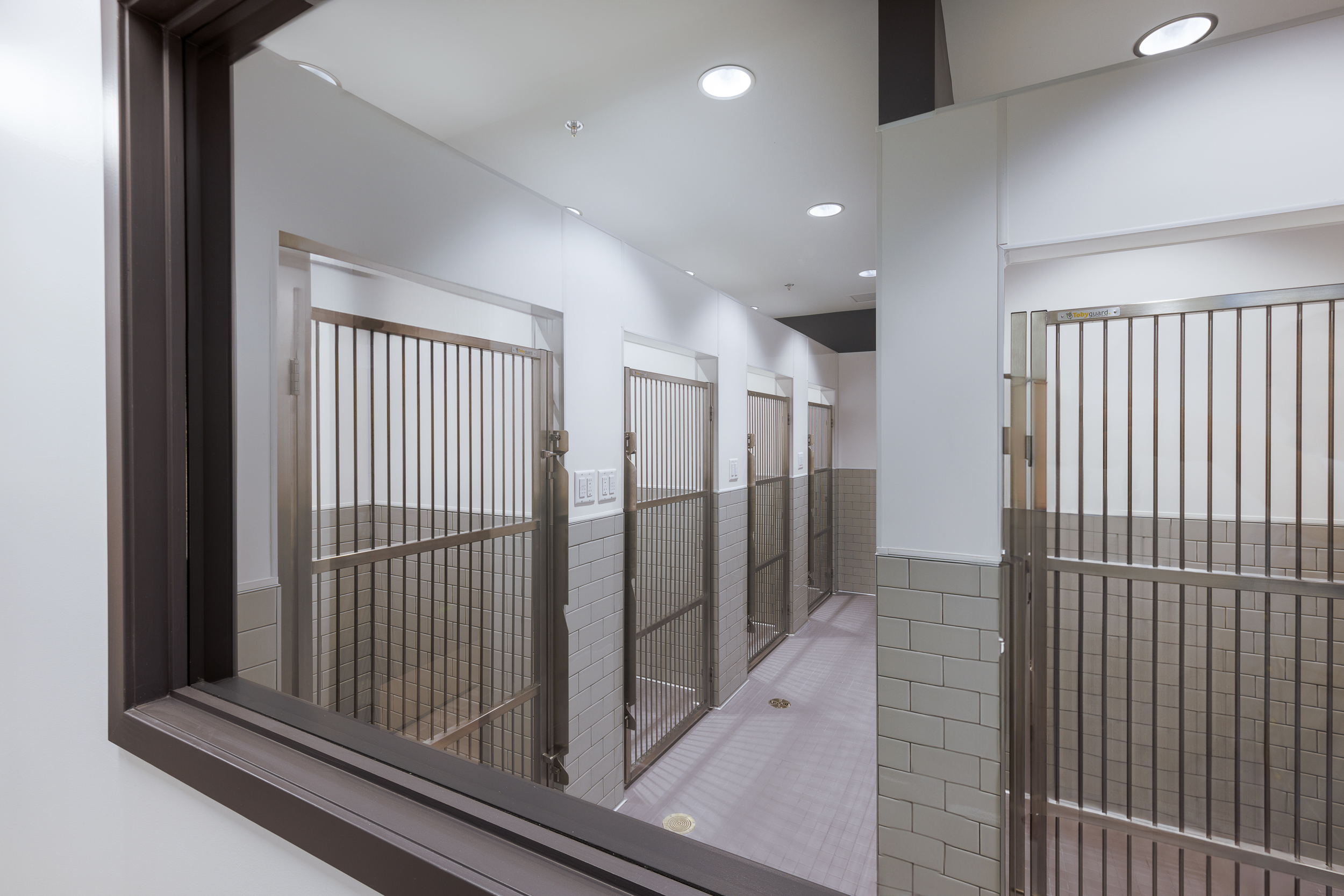 Dog Runs at Westbank Animal Care Hospital