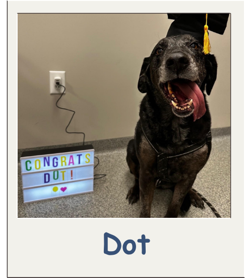 Oncology Graduate Album - Dot