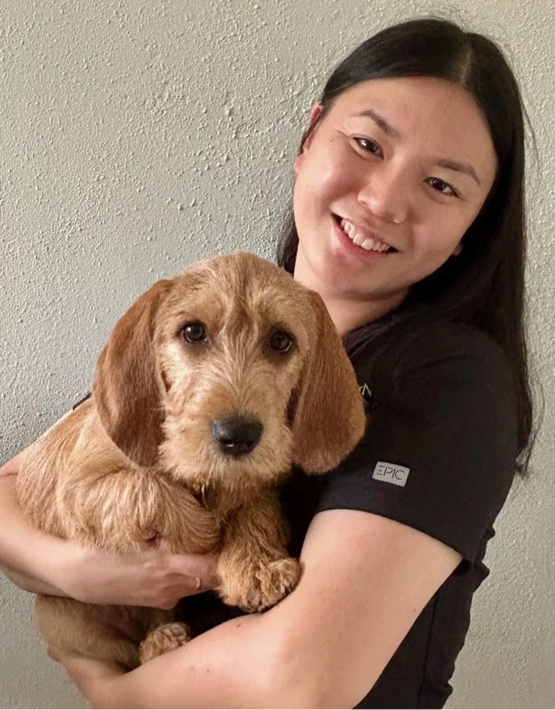 Pencil Puppy Pencil Puppy