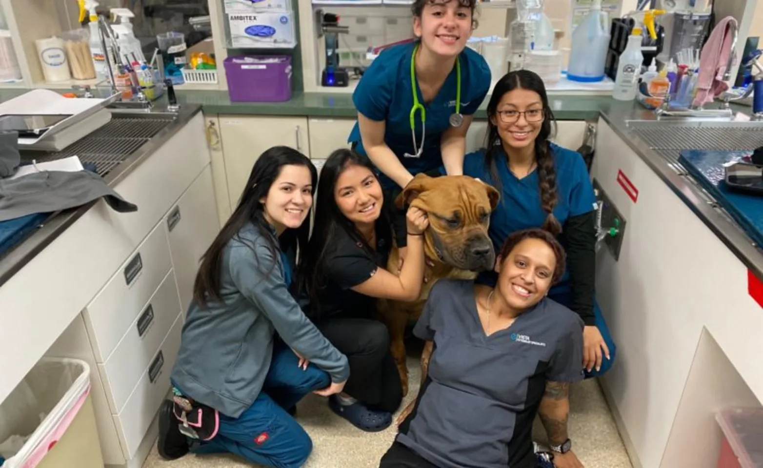 Five staff members with a big brown dog