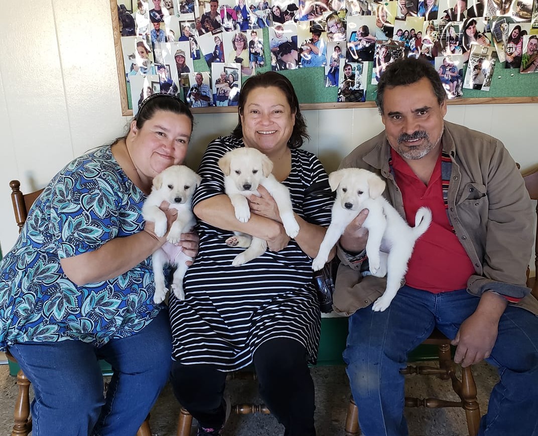 Happy Hearts Pet Shelter Animal Hospital of Denison