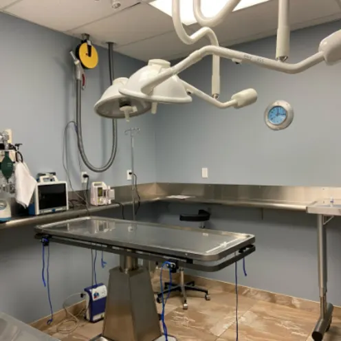 Surgery Room Surgery Room