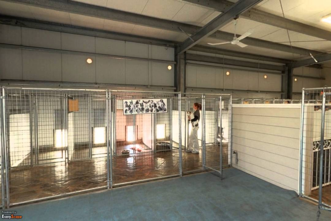 University Pet Resort facility