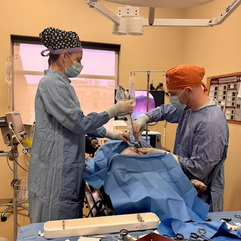 Laparoscopic Spay Laparoscopic Spay
