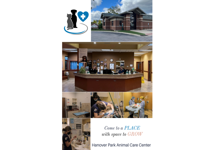 Now Hiring at Hanover Park Animal Care Center 