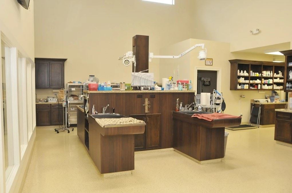 The treatment area of our hospital