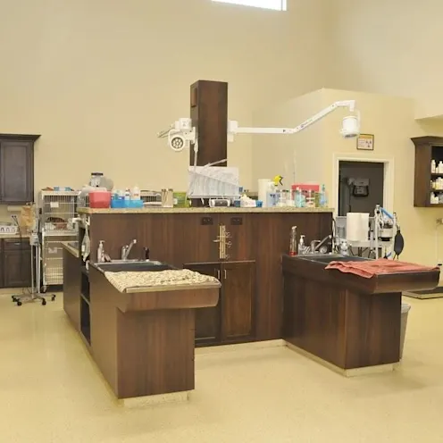 The treatment area of our hospital The treatment area of our hospital