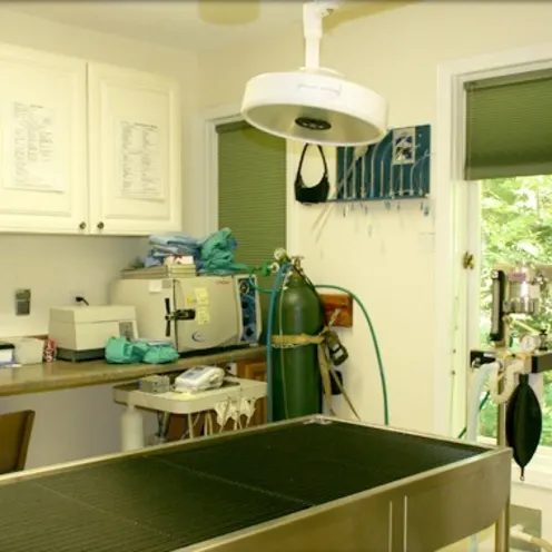 Dental Area AVA dental area