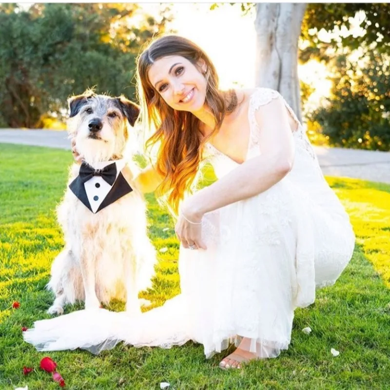 Dr. Kate Tyler Dr. Kate Tyler