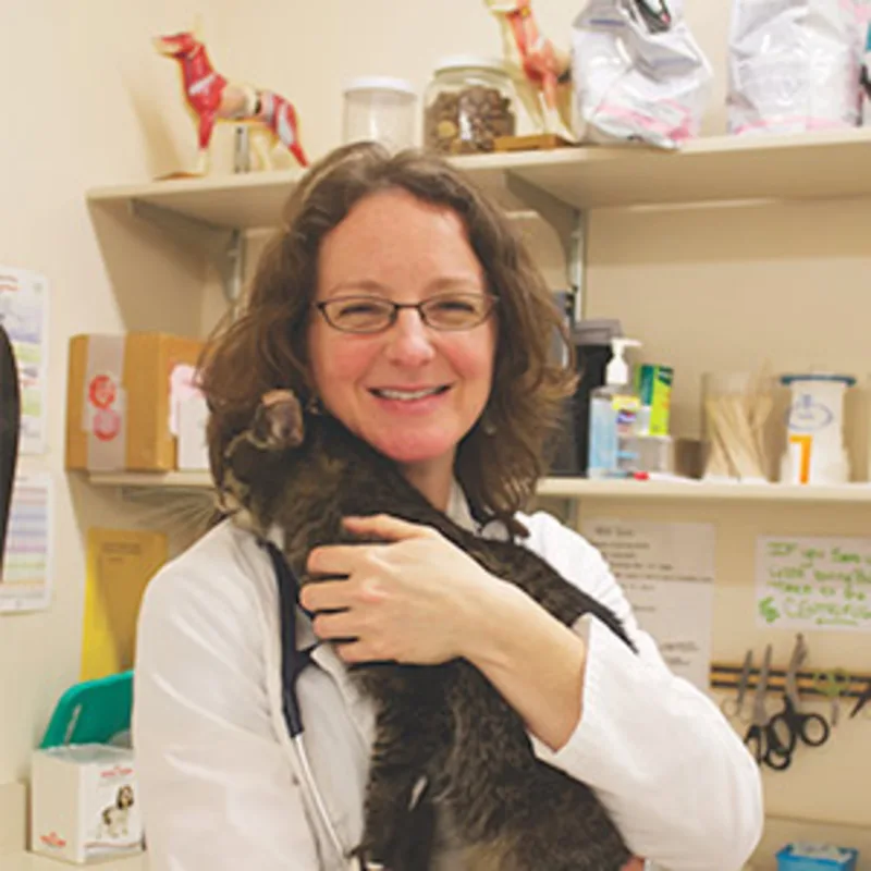 Dr. Michelle Droke Dr. Michelle Droke