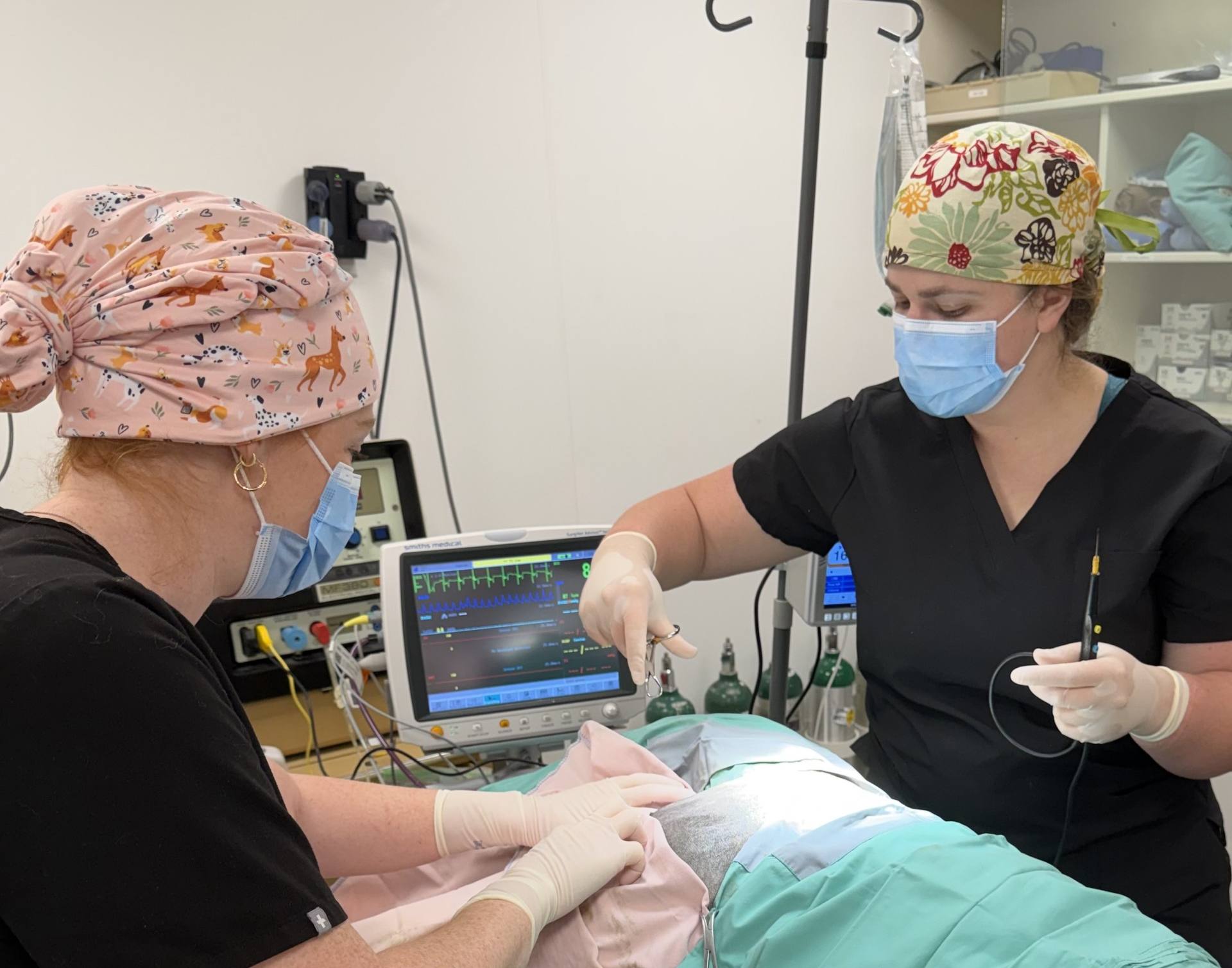 Two veterinarians performing surgery on a patient.