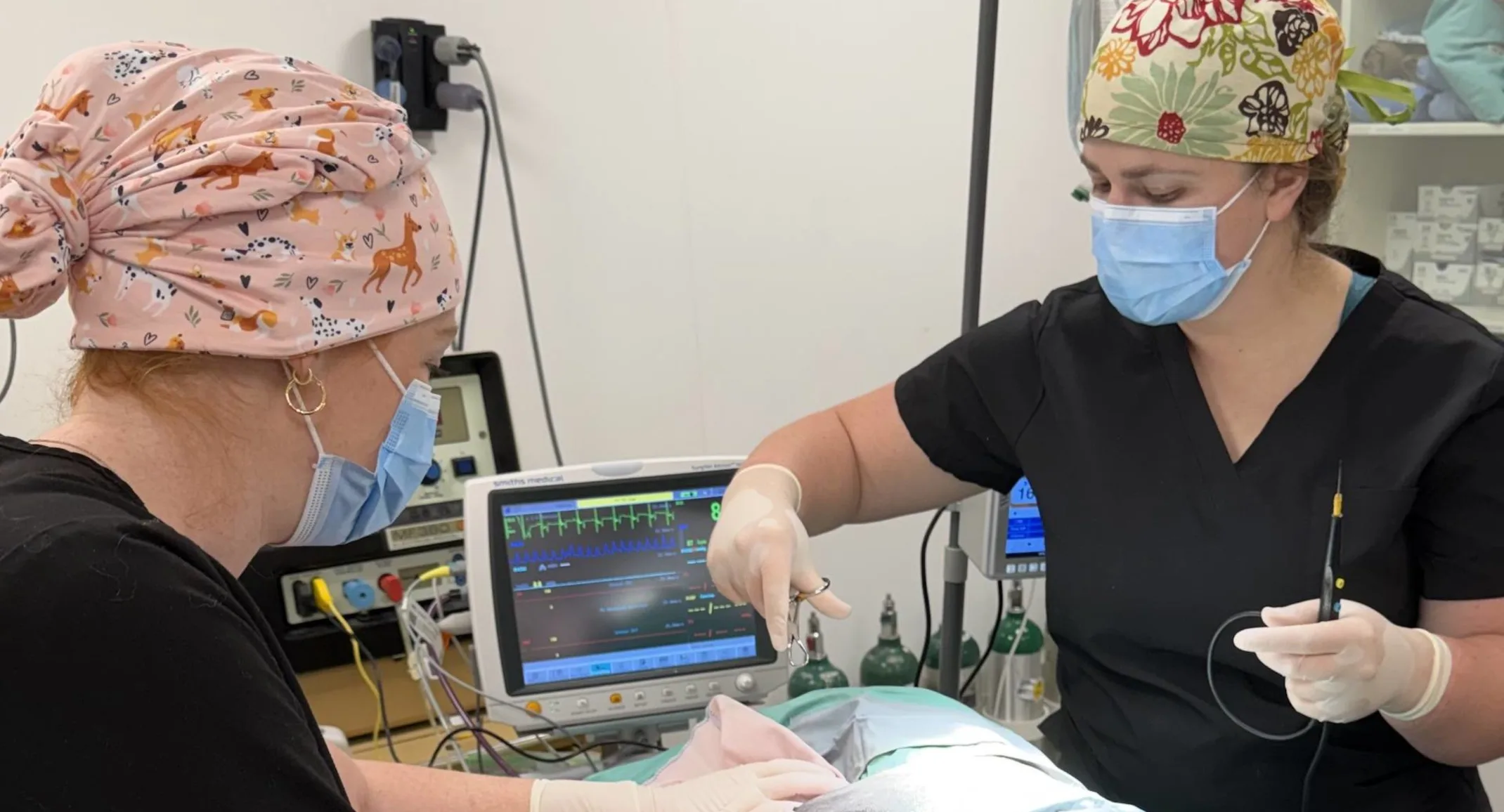 Two veterinarians performing surgery on a patient. Two veterinarians performing surgery on a patient.