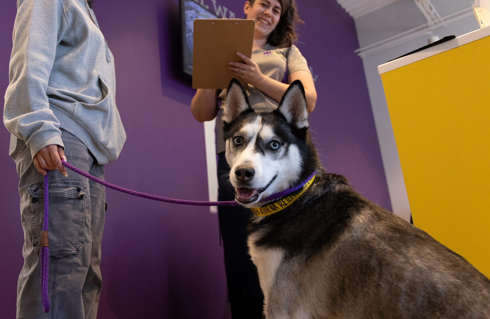 Husky on leash smiling at PetSuites