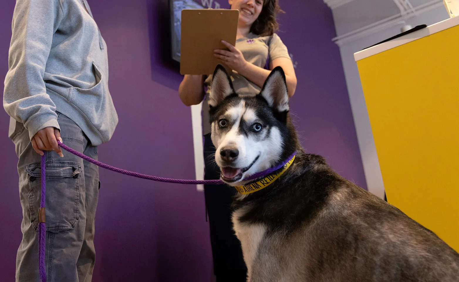 Husky on leash smiling at PetSuites Husky on leash smiling at PetSuites