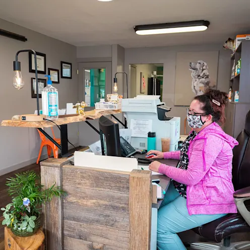 Receptionist at The Valley Veterinary Hospital Receptionist at The Valley Veterinary Hospital