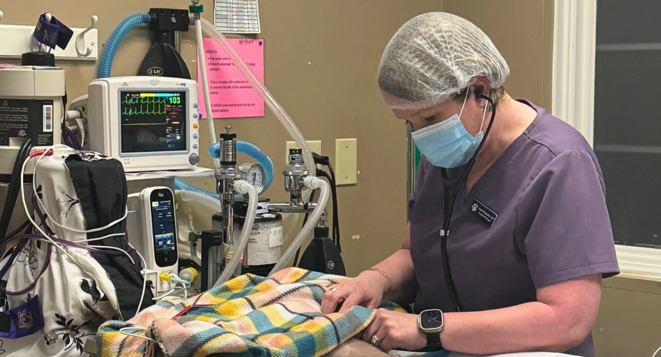 Meet Jamie Rauscher: Past President of NAVTA, NVA Hospital Manager and JV Partner Meet Jamie Rauscher: Past President of NAVTA, NVA Hospital Manager and JV Partner