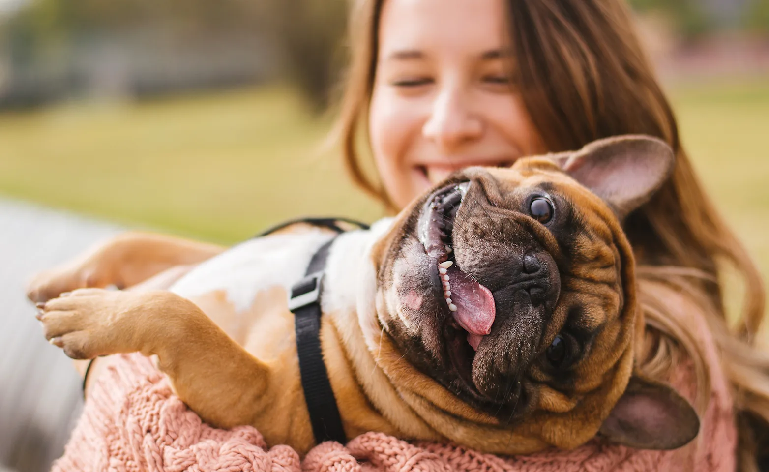 Women holding dog over shoulders as the dogs tongue is out