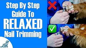 Thumbnail Screenshot