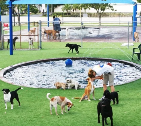 Pompano Pet Lodge Park Pompano Pet Lodge Park
