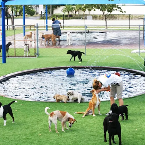 Pompano Pet Lodge Park Pompano Pet Lodge Park