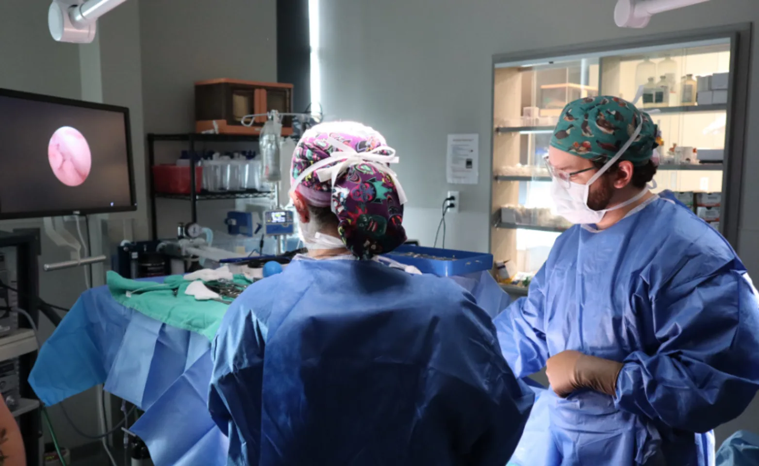 Vets performing surgical procedure Vets performing surgical procedure