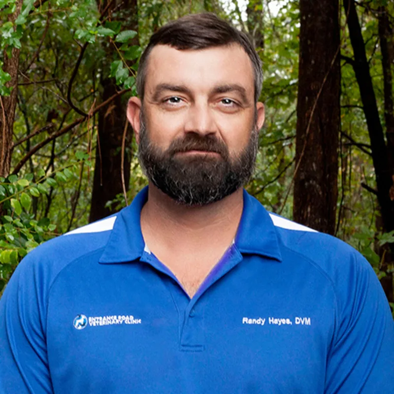 Dr. Randy Hayes Dr. Randy Hayes