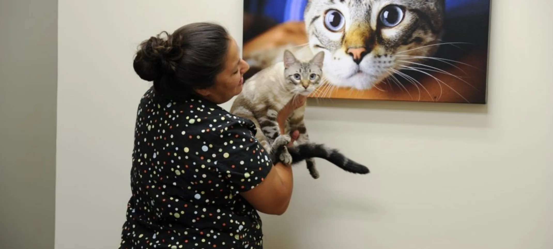 Staff holding a cat next to a portrait of a cat Staff holding a cat next to a portrait of a cat
