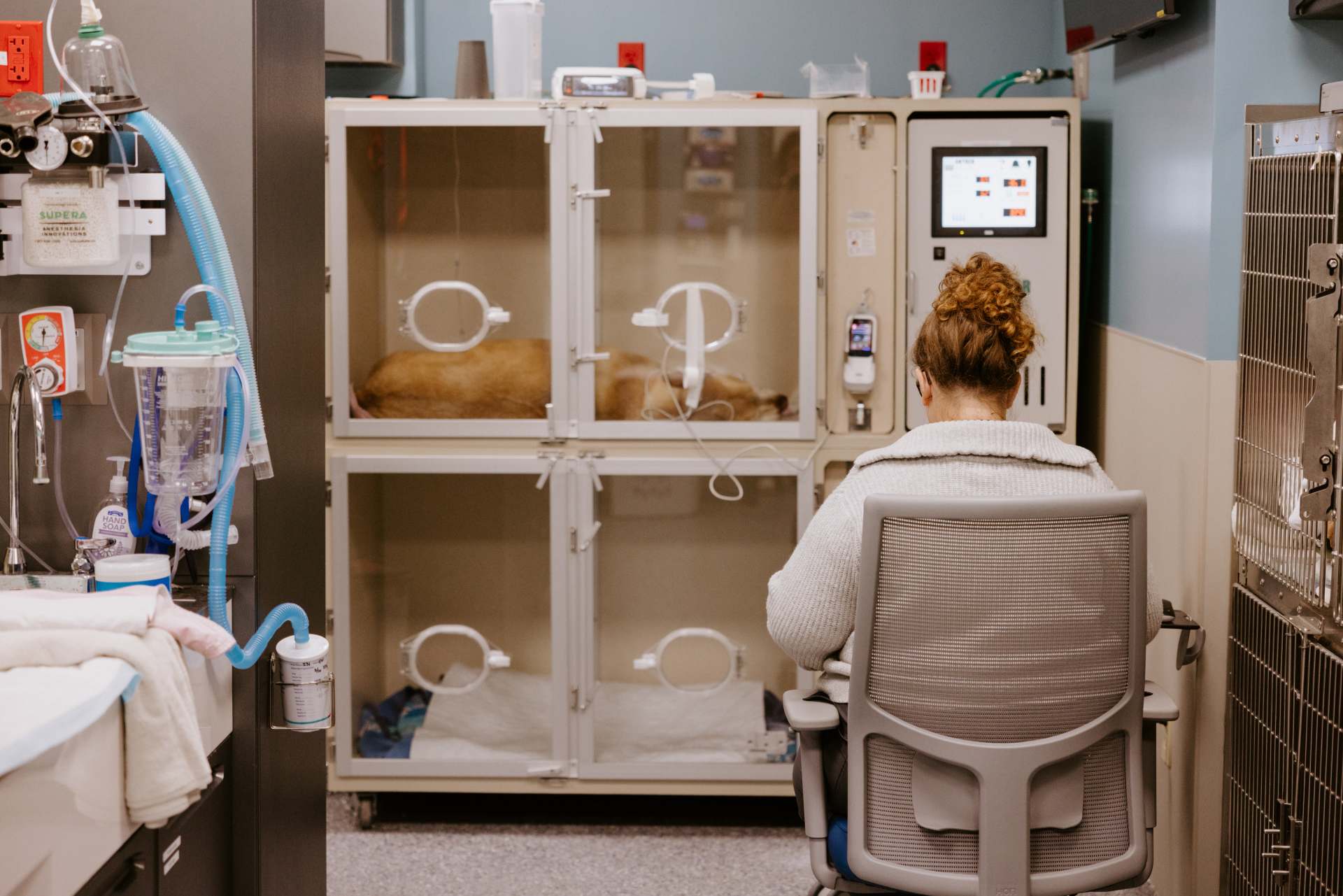 Staff surveying animals in the backroom.