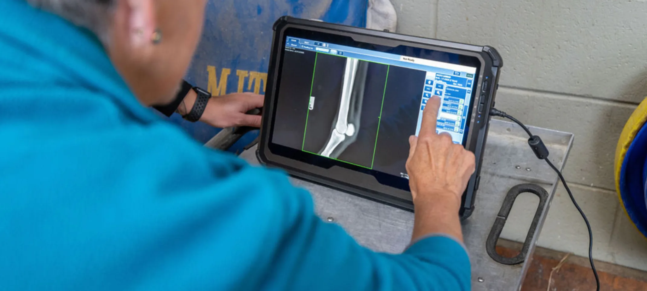 Staff member reviewing an image of a leg Staff member reviewing an image of a leg