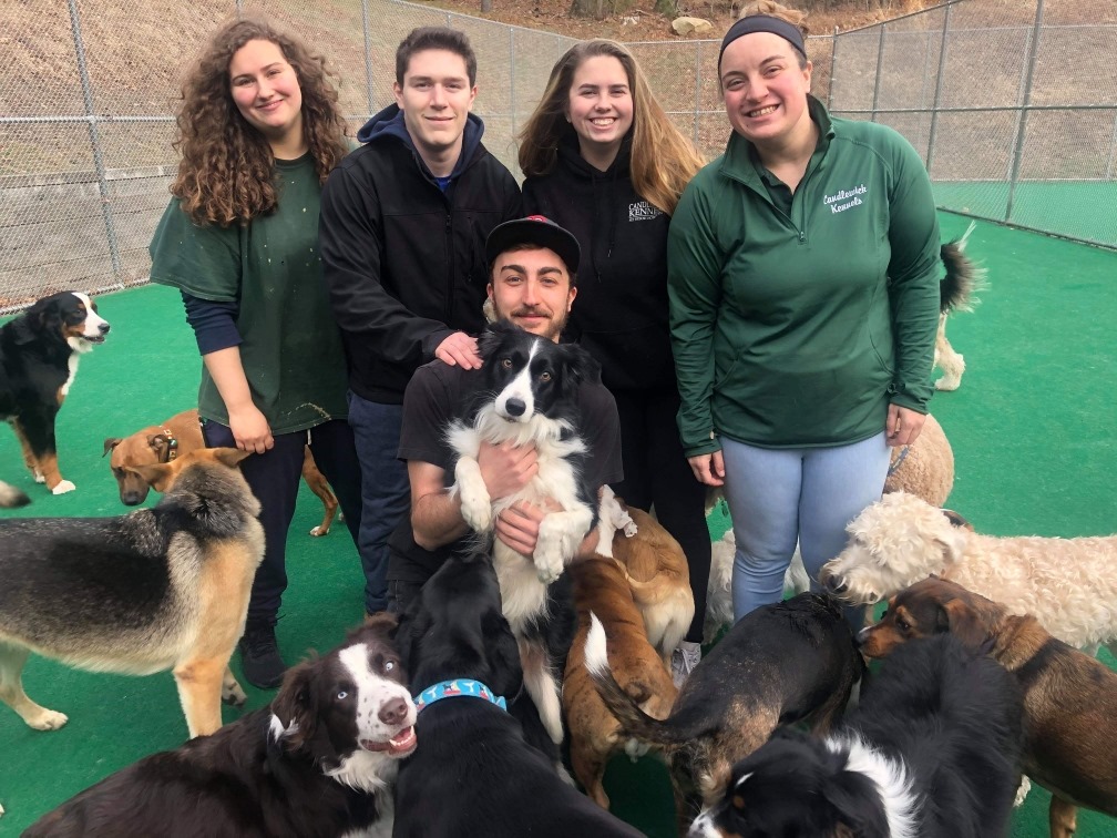 Staff with dogs in the outdoor play area