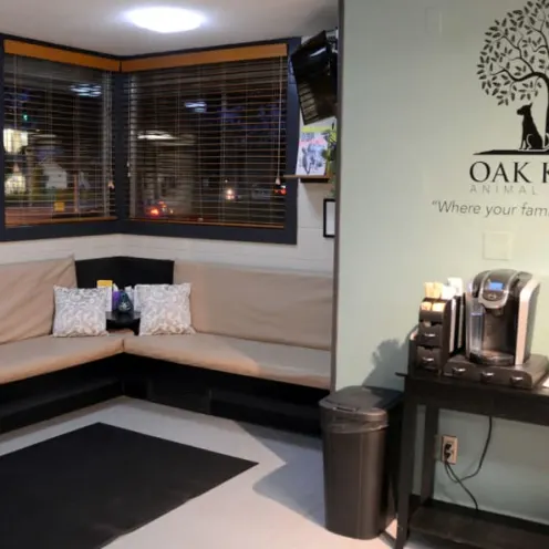 Oak Knoll Animal Hospital lobby area and table with refreshments