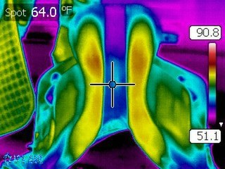 Thermal image of a horse