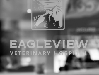 Black and white photo of a view inside a window with the Eagleview Veterinary Hospital logo