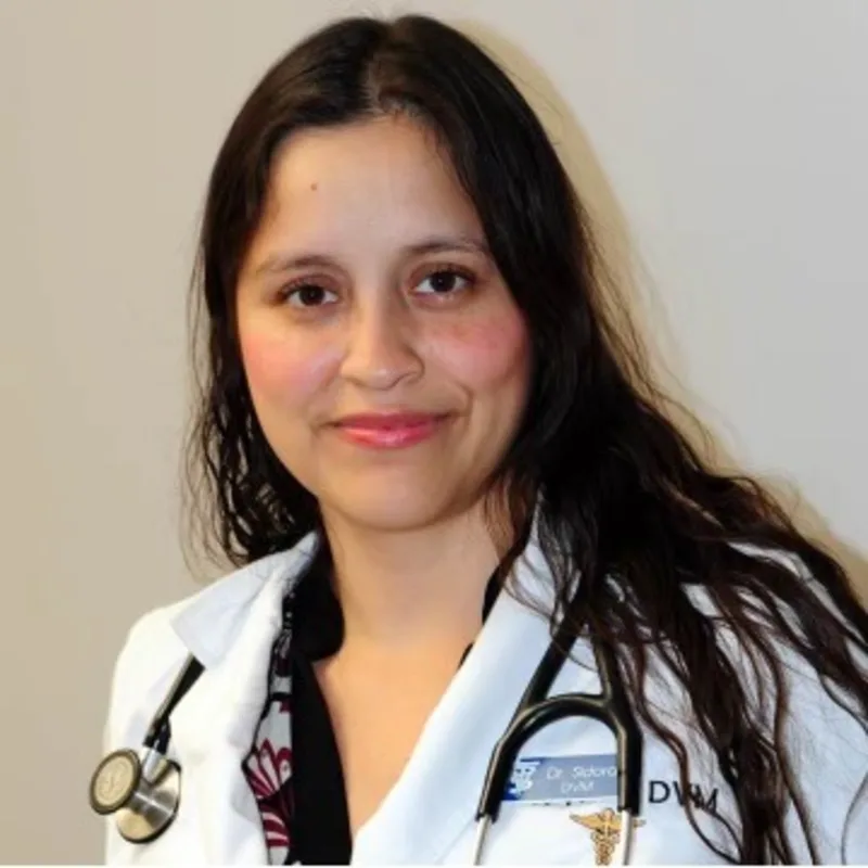 Dr. Norma Sidorak Dr. Norma Sidorak
