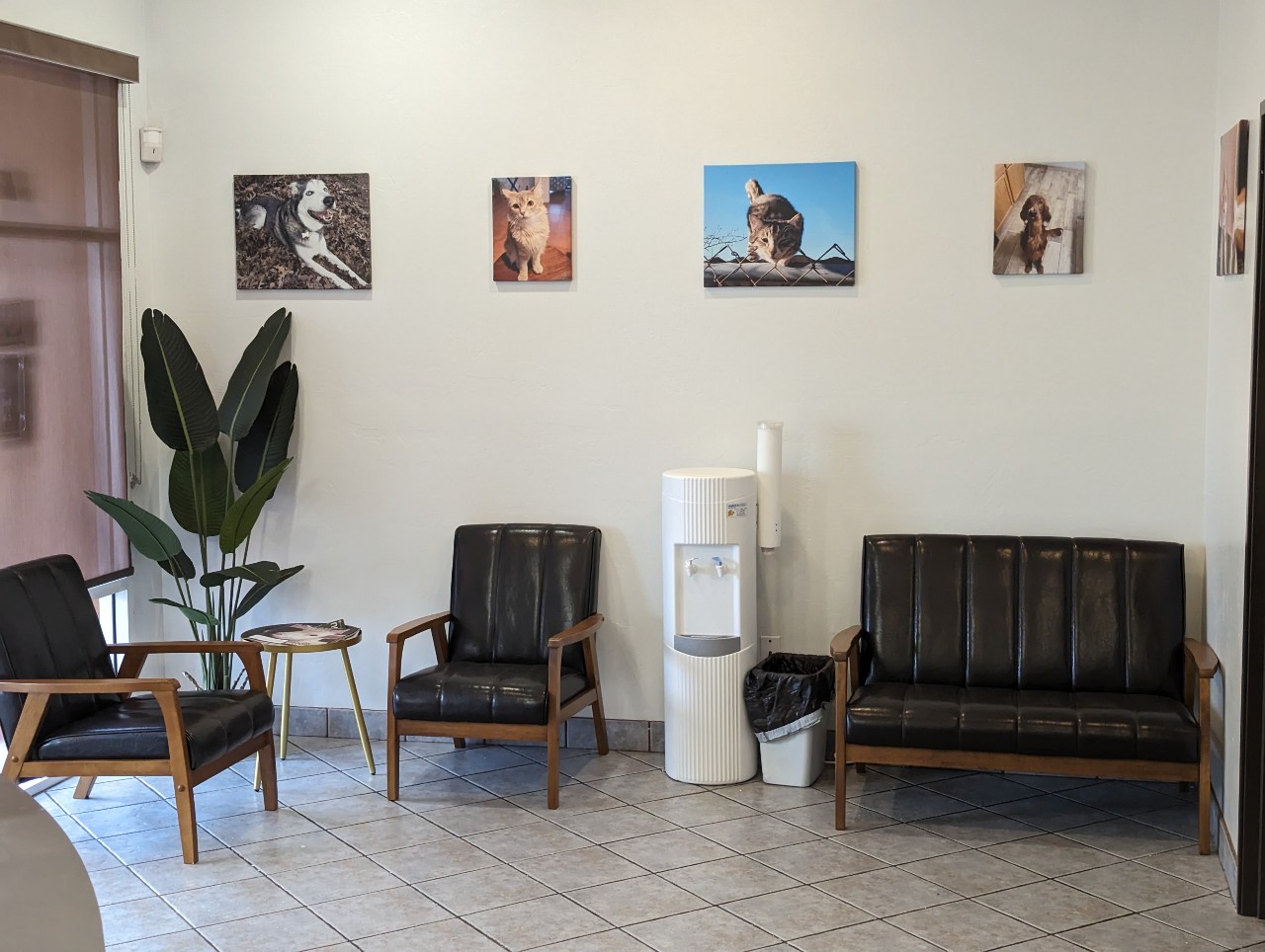 Waiting room with seating, photos of dogs and cats on the wall, a plant on the corner and water station in River Road Pet Clinic.