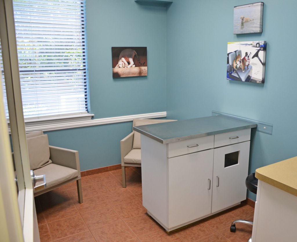 examination room at FVRC