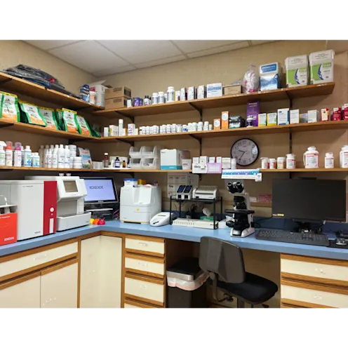 Lab at Eastern Shore Animal Hospital Lab at Eastern Shore Animal Hospital