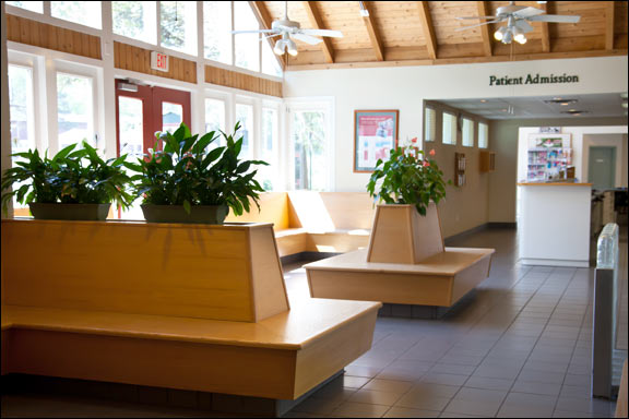 Gallery North Florida Animal Hospital   Lobby 