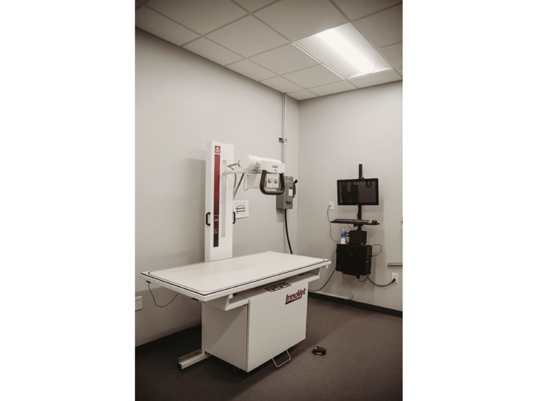 Value Vet exam room with Xray