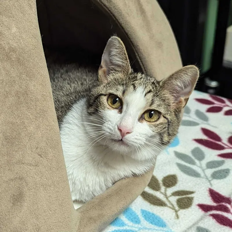 Hole Punch Hole Punch