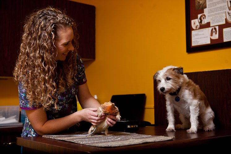 Woman in curly hair with a lizard and dog.