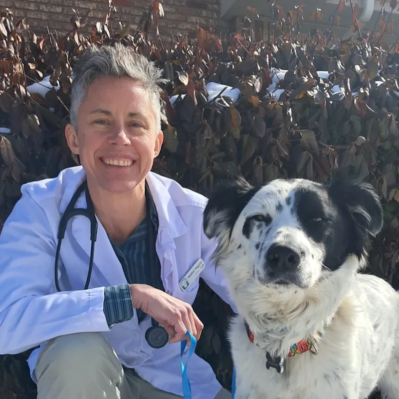 Dr. Heather Higgins Dr. Heather Higgins