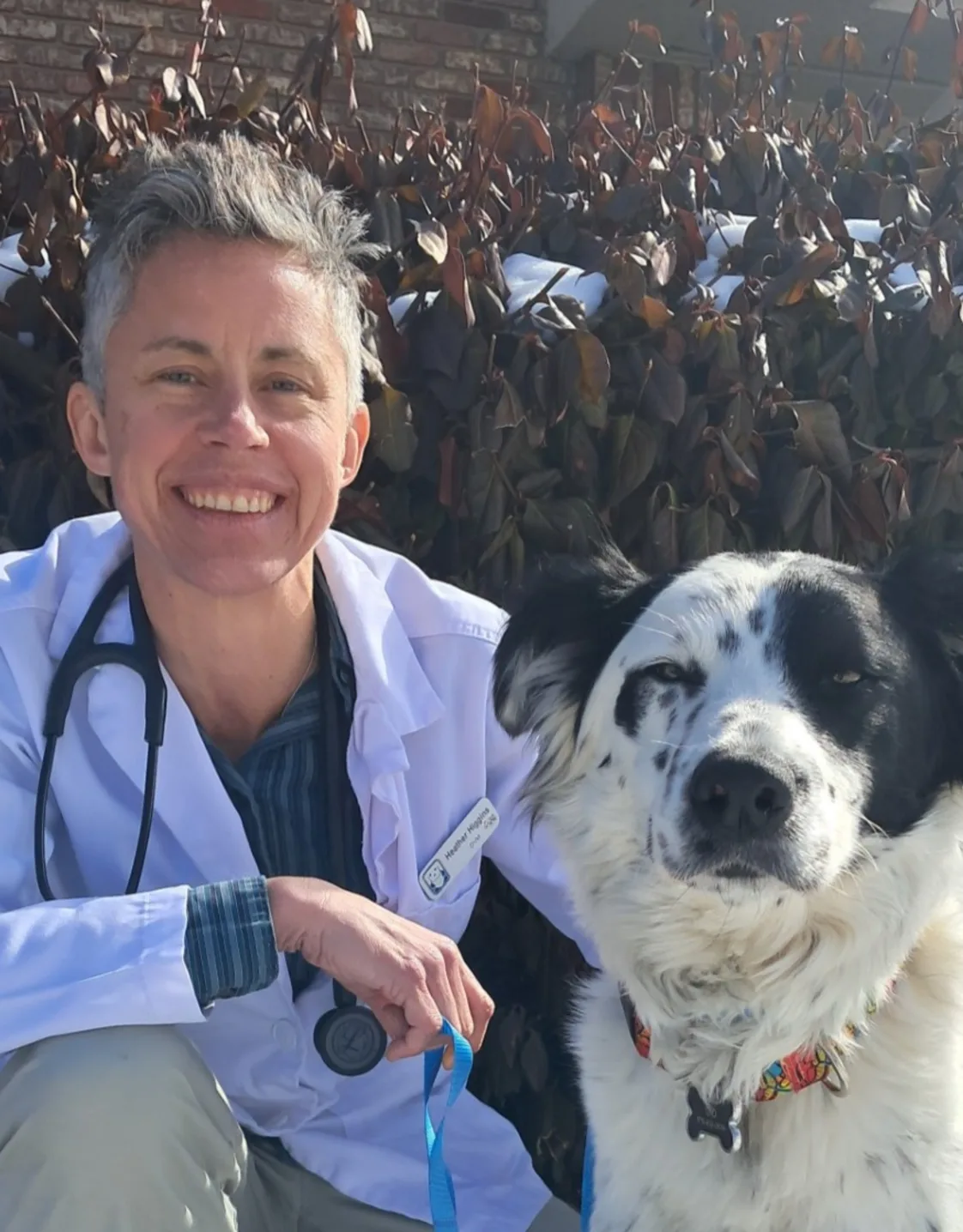 Dr. Heather Higgins Dr. Heather Higgins